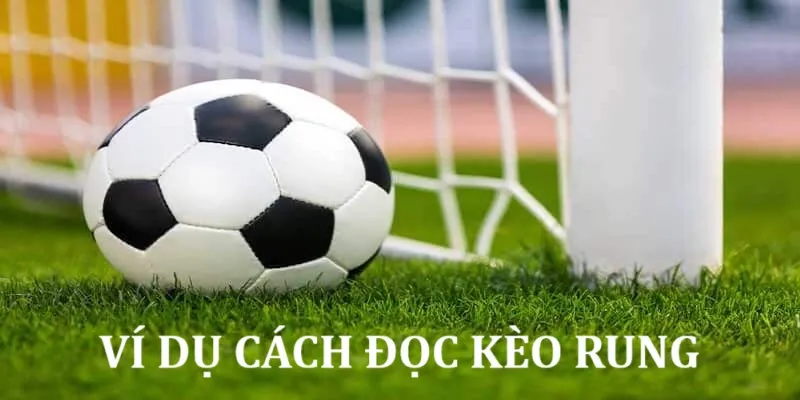Tìm hiểu ví dụ cụ thể về cách đọc kèo rung 