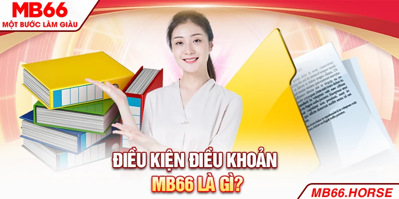 Điều kiện điều khoản MB66 là gì?
