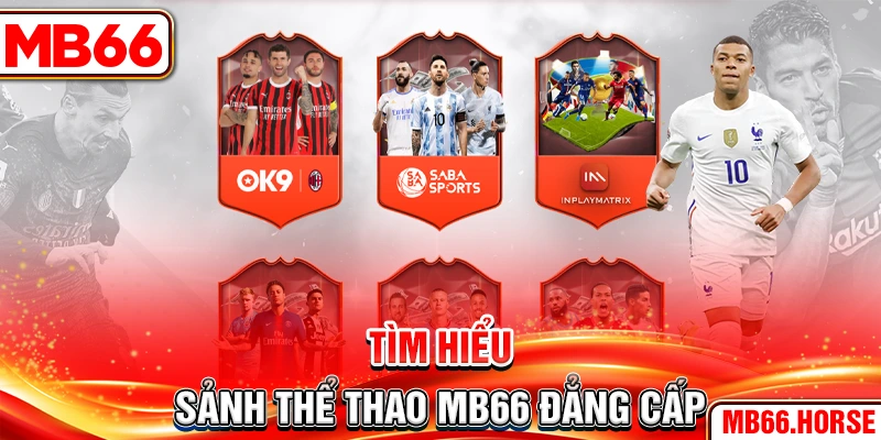 Tìm hiểu sảnh thể thao MB66 đẳng cấp