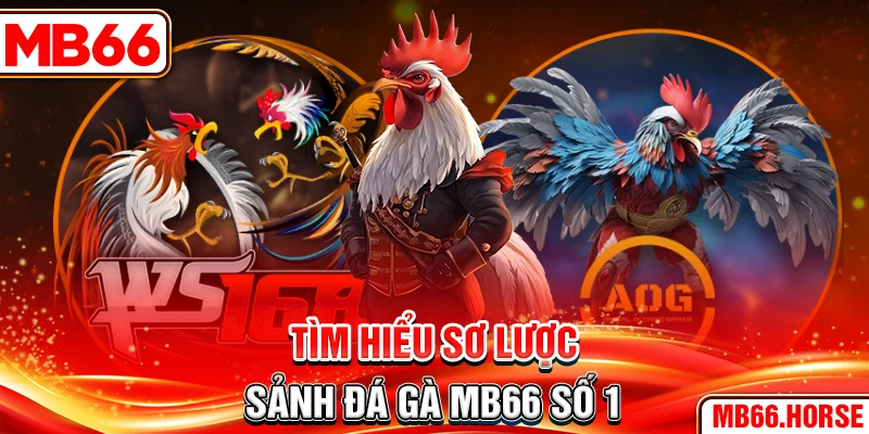 Tìm hiểu sơ lược sảnh đá gà MB66 top 1 2025