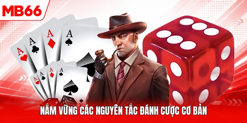 Nắm vững các nguyên tắc đánh cược cơ bản